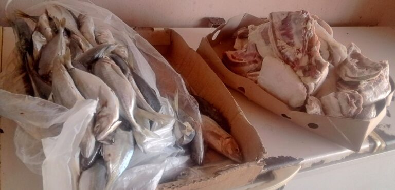 IMG 20240815 105019 0763 768x371