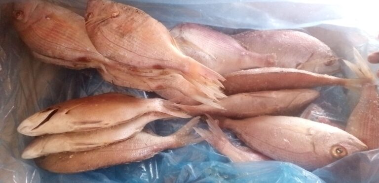 IMG 20240820 113639 8552 768x372